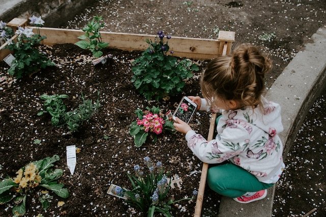 diy-garden-bed-ideas