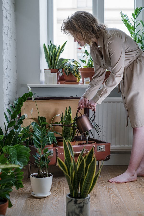 diy-potted-plant-watering