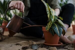 diy-potted-plant-watering