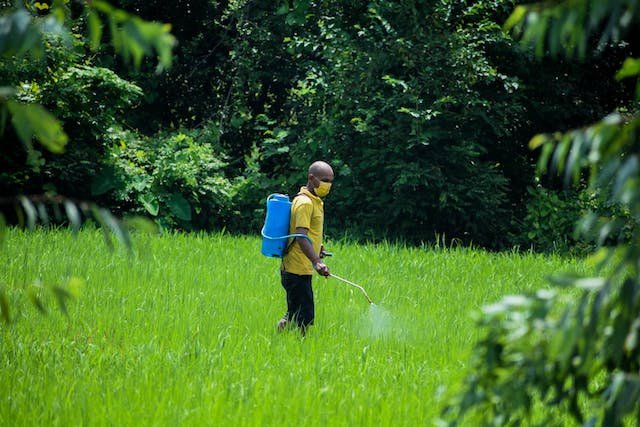 natural-pesticide