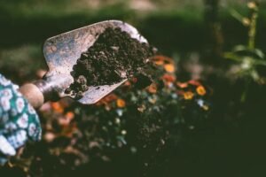 topsoil-vs-garden-soil