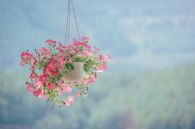 diy-plant-hanger-rope