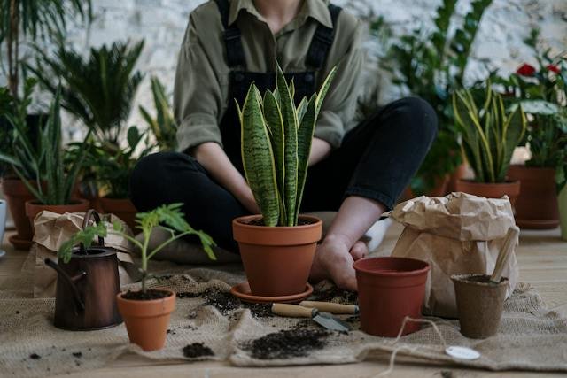 diy-plant-pots