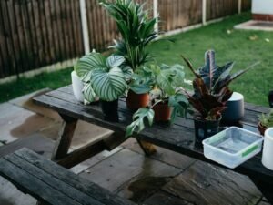 outdoor-potted-plant-watering-system