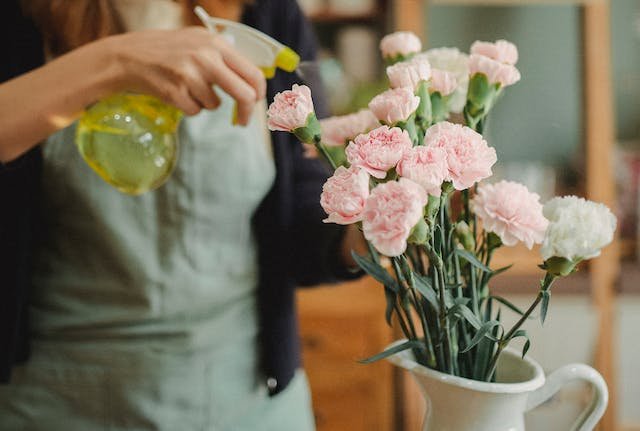 diy-spider-mite-spray