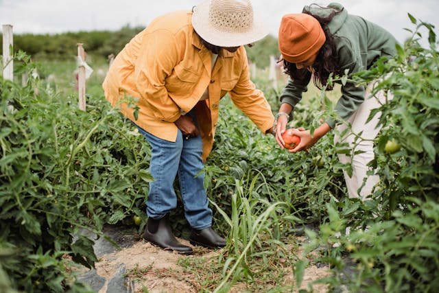 composting-for-vegetable-gardens