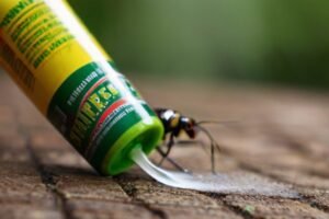 indoor-plant-insect-spray