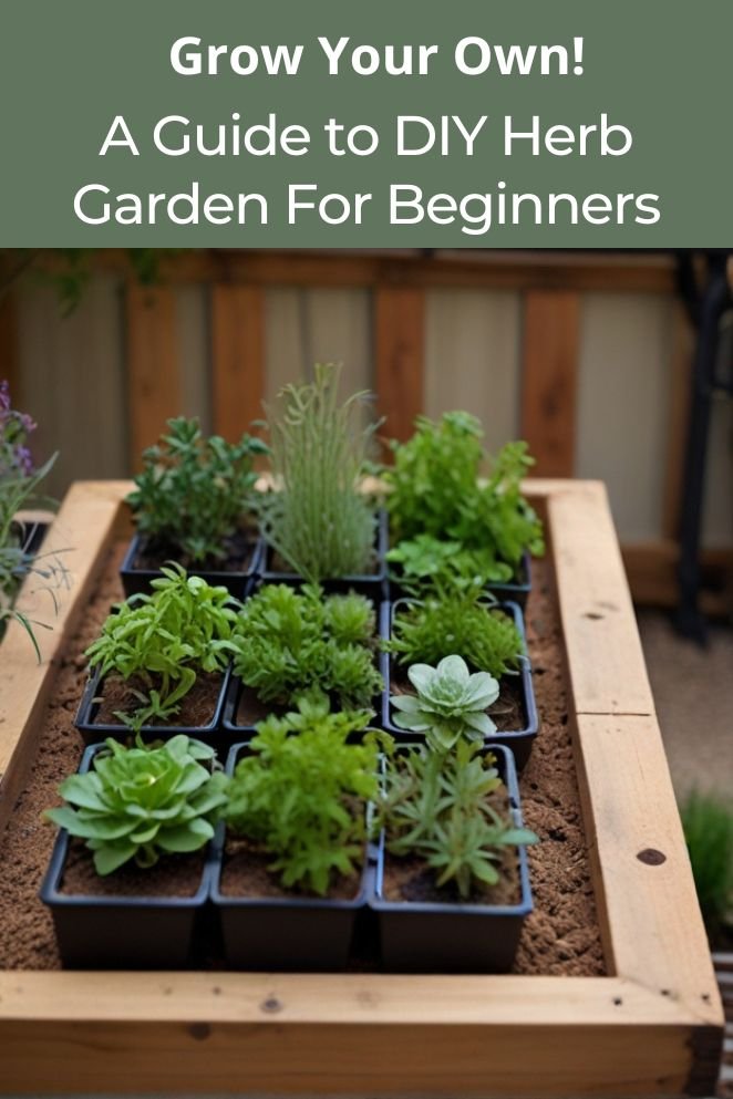 diy herb garden for beginners