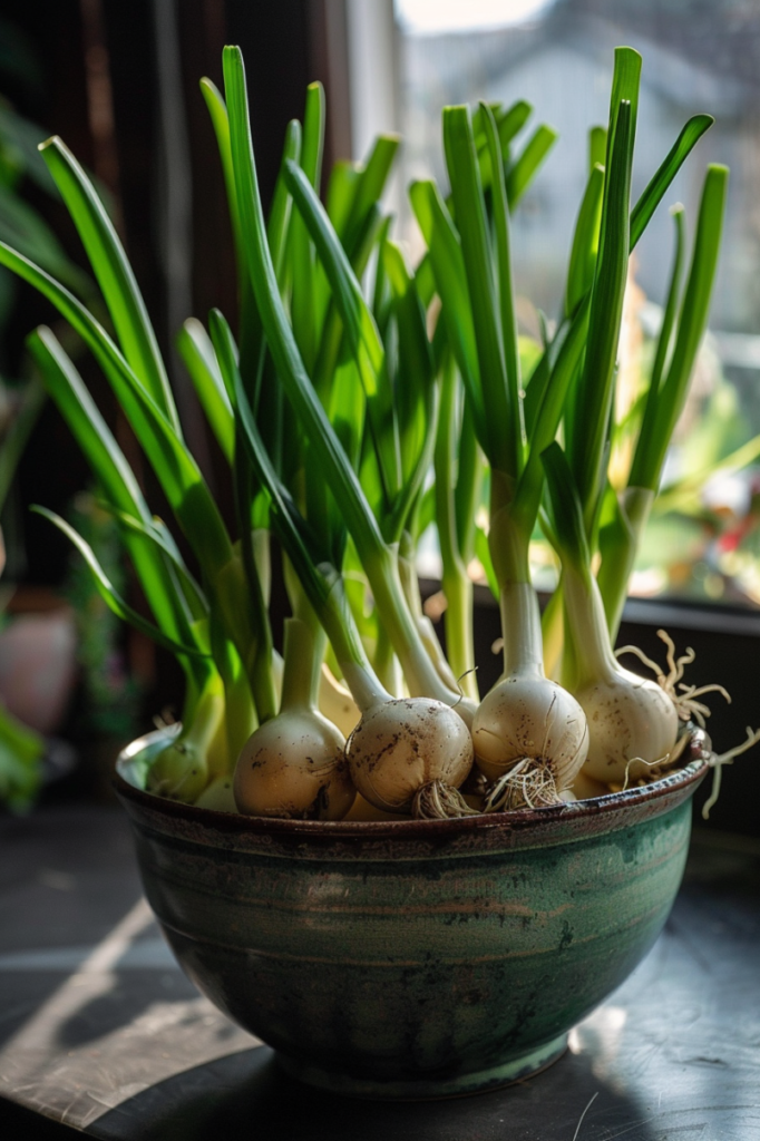 growing-vegetables-from-kitchen-scraps