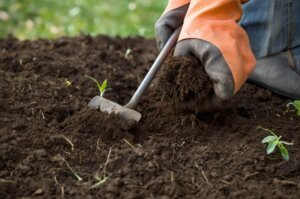 spring-garden-soil-preparation