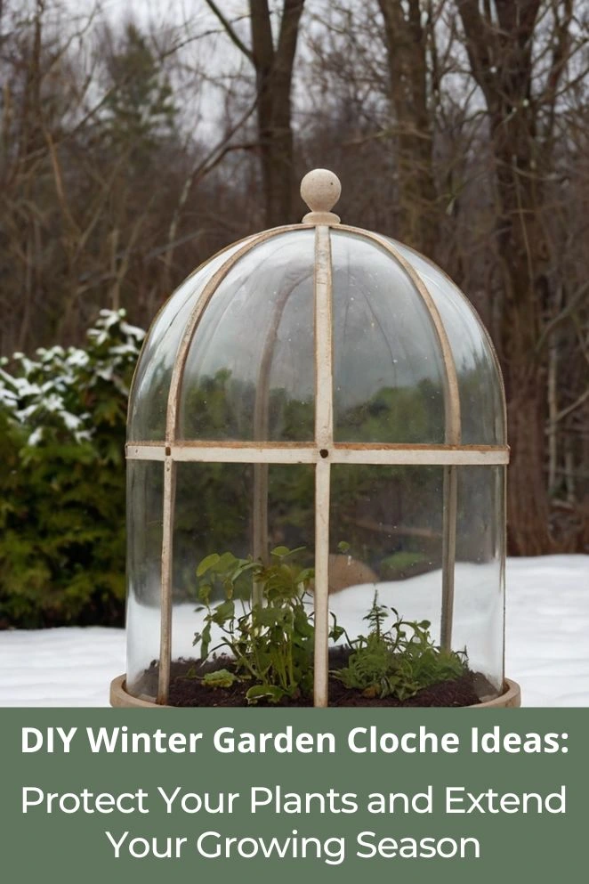 DIY Winter Garden Cloche Ideas