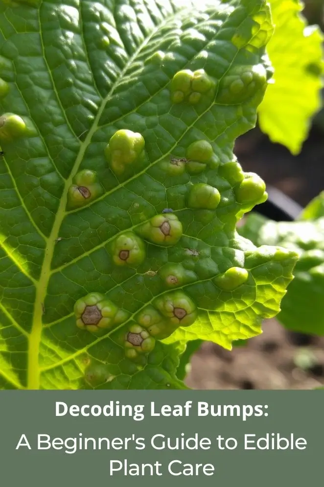 Decoding Leaf Bumps